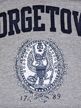 Champion Grey and Navy Hoodie with Champion Eco Tag